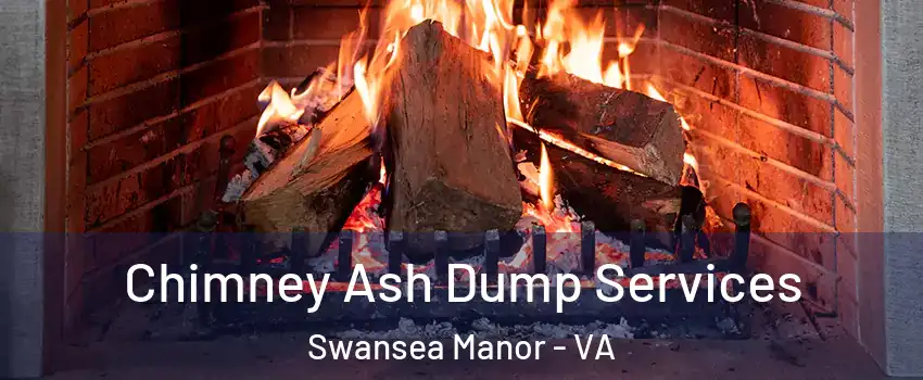Chimney Ash Dump Services Swansea Manor - VA
