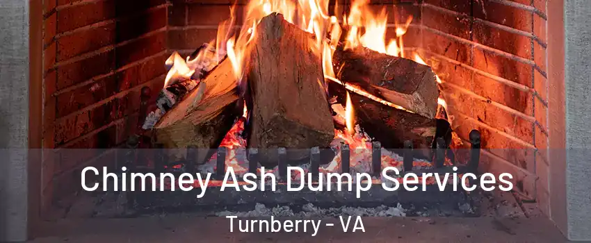 Chimney Ash Dump Services Turnberry - VA