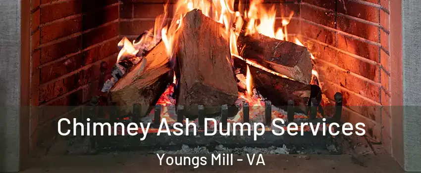 Chimney Ash Dump Services Youngs Mill - VA