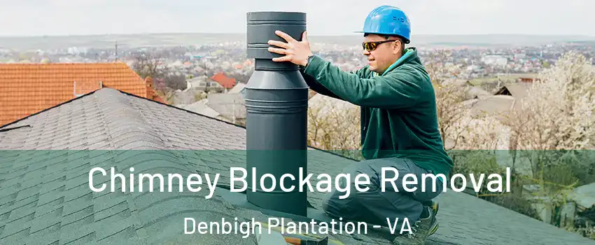Chimney Blockage Removal Denbigh Plantation - VA