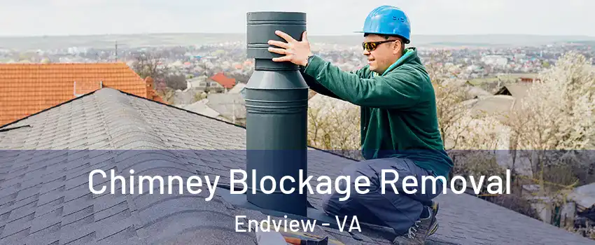 Chimney Blockage Removal Endview - VA