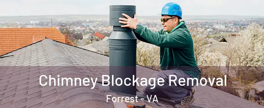 Chimney Blockage Removal Forrest - VA