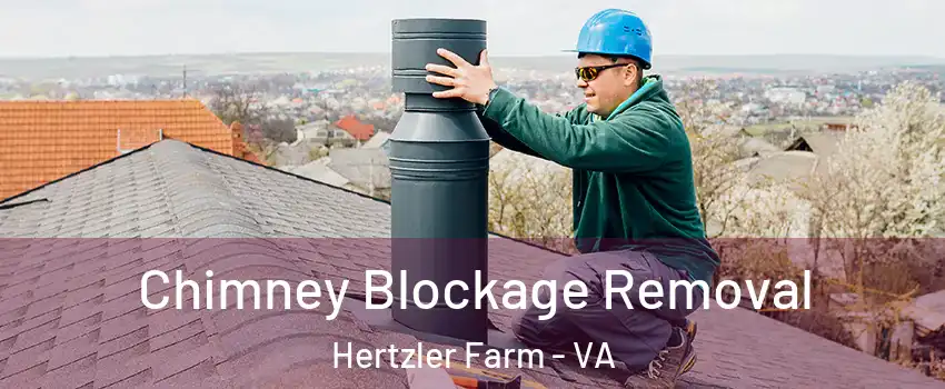 Chimney Blockage Removal Hertzler Farm - VA