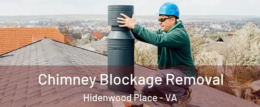 Chimney Blockage Removal Hidenwood Place - VA