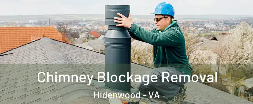 Chimney Blockage Removal Hidenwood - VA