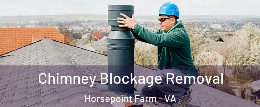 Chimney Blockage Removal Horsepoint Farm - VA