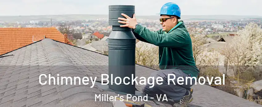 Chimney Blockage Removal Miller's Pond - VA