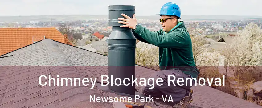 Chimney Blockage Removal Newsome Park - VA