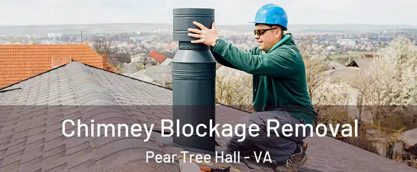 Chimney Blockage Removal Pear Tree Hall - VA