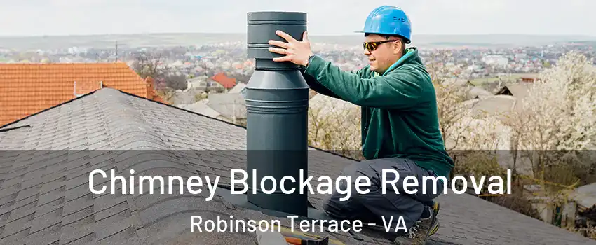 Chimney Blockage Removal Robinson Terrace - VA