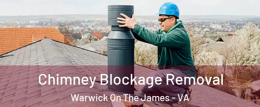 Chimney Blockage Removal Warwick On The James - VA
