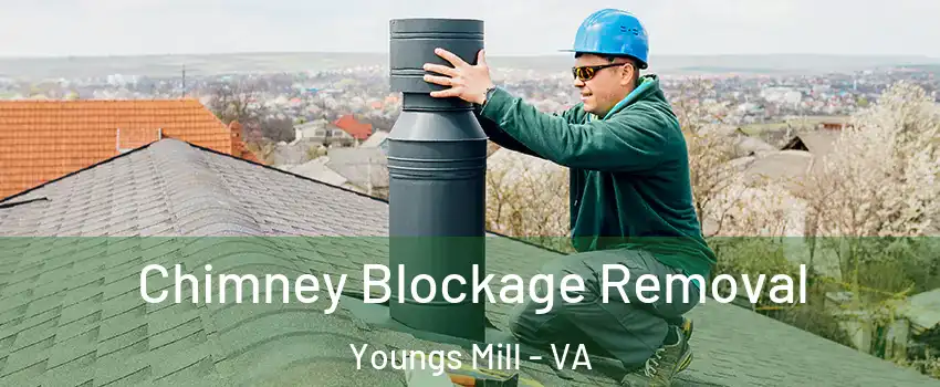 Chimney Blockage Removal Youngs Mill - VA