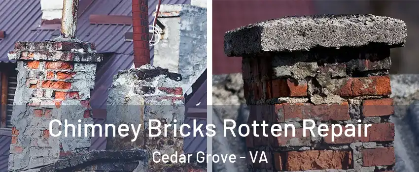 Chimney Bricks Rotten Repair Cedar Grove - VA