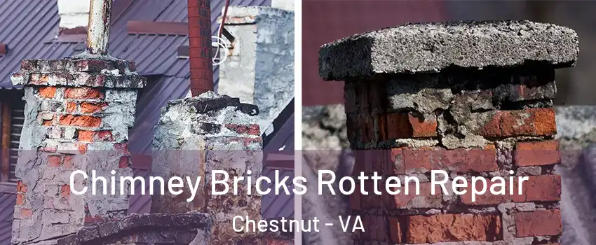 Chimney Bricks Rotten Repair Chestnut - VA