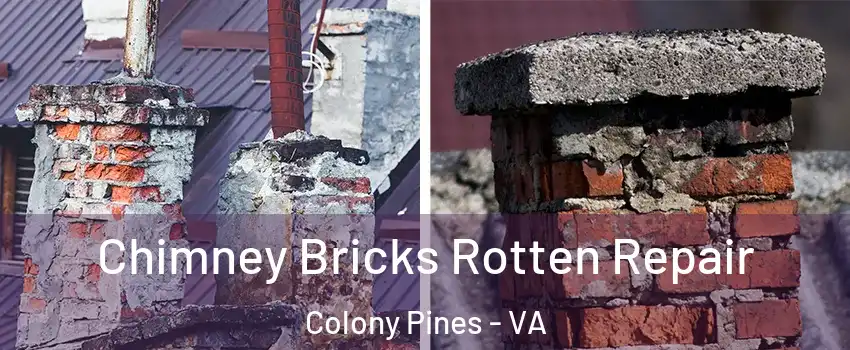 Chimney Bricks Rotten Repair Colony Pines - VA