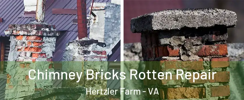 Chimney Bricks Rotten Repair Hertzler Farm - VA