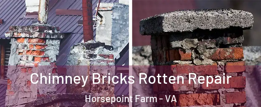 Chimney Bricks Rotten Repair Horsepoint Farm - VA