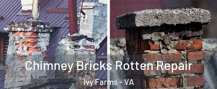 Chimney Bricks Rotten Repair Ivy Farms - VA