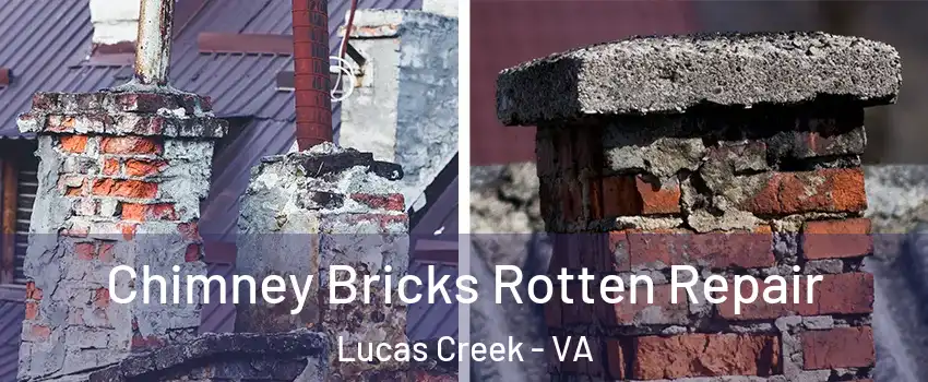 Chimney Bricks Rotten Repair Lucas Creek - VA