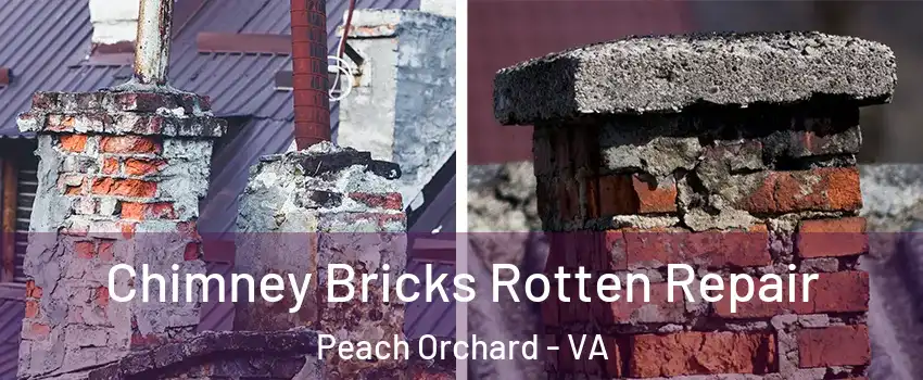 Chimney Bricks Rotten Repair Peach Orchard - VA