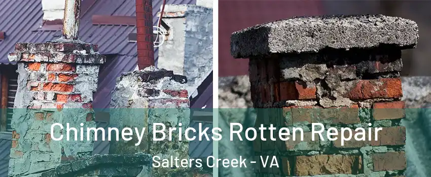 Chimney Bricks Rotten Repair Salters Creek - VA