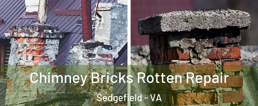Chimney Bricks Rotten Repair Sedgefield - VA