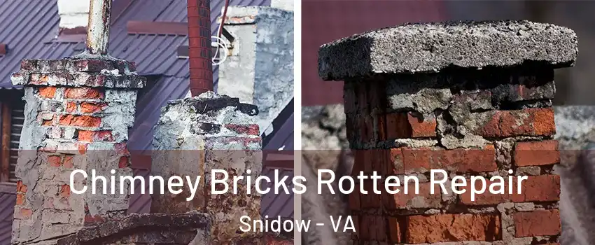 Chimney Bricks Rotten Repair Snidow - VA