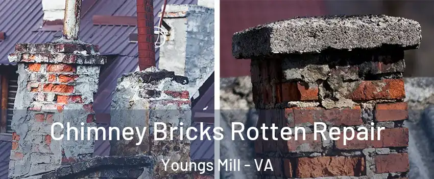 Chimney Bricks Rotten Repair Youngs Mill - VA