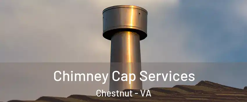 Chimney Cap Services Chestnut - VA