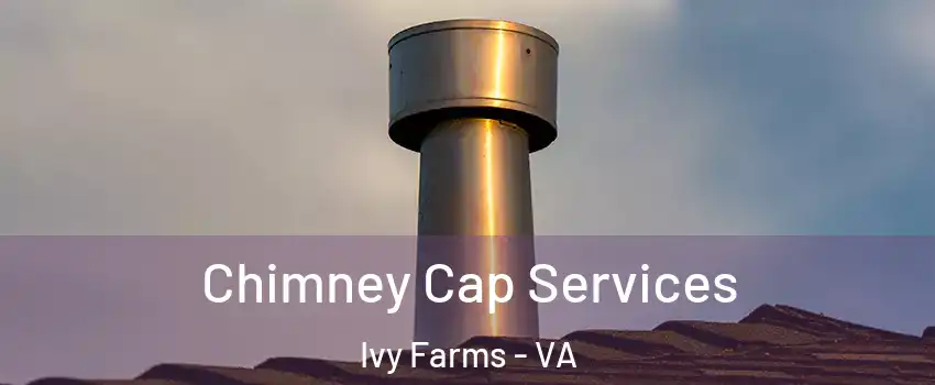 Chimney Cap Services Ivy Farms - VA