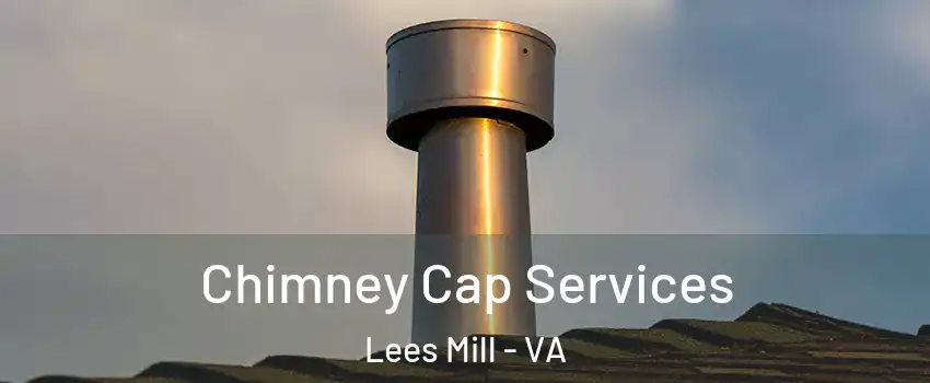 Chimney Cap Services Lees Mill - VA