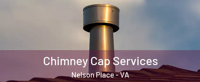 Chimney Cap Services Nelson Place - VA
