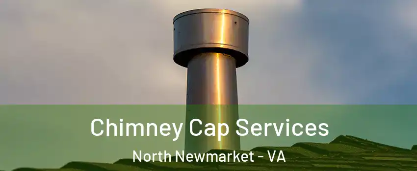 Chimney Cap Services North Newmarket - VA