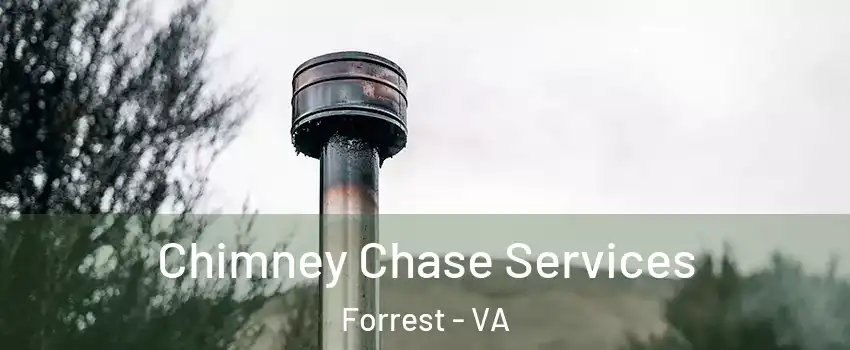 Chimney Chase Services Forrest - VA