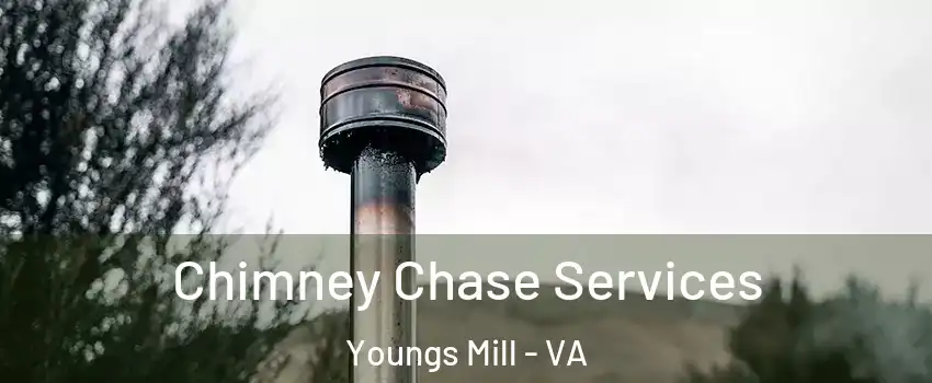 Chimney Chase Services Youngs Mill - VA