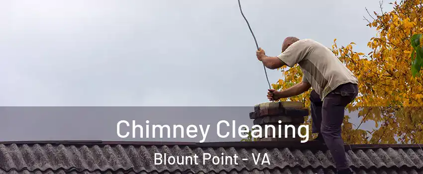 Chimney Cleaning Blount Point - VA