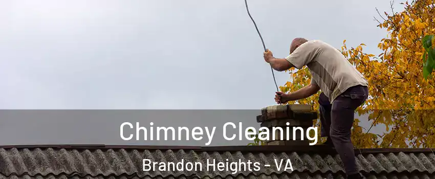 Chimney Cleaning Brandon Heights - VA