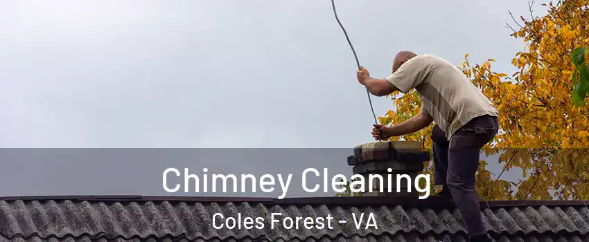 Chimney Cleaning Coles Forest - VA
