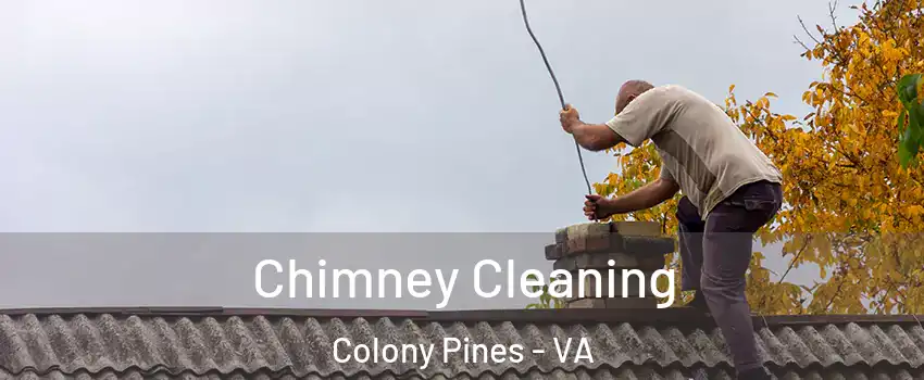 Chimney Cleaning Colony Pines - VA