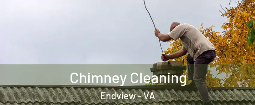 Chimney Cleaning Endview - VA