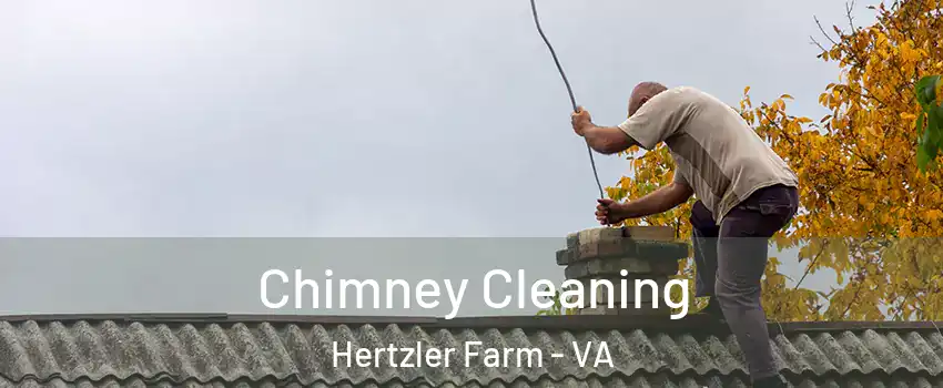 Chimney Cleaning Hertzler Farm - VA