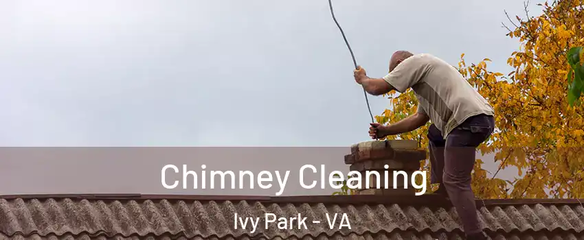 Chimney Cleaning Ivy Park - VA