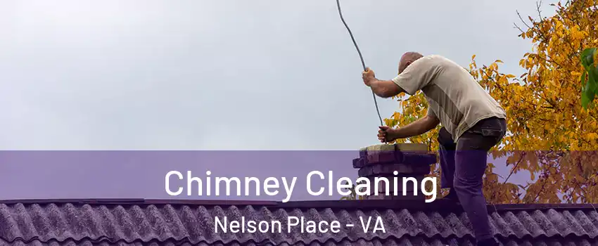 Chimney Cleaning Nelson Place - VA