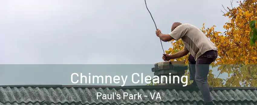 Chimney Cleaning Paul's Park - VA