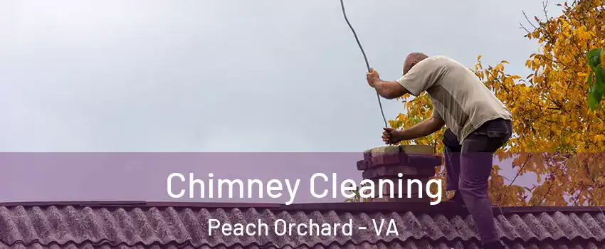 Chimney Cleaning Peach Orchard - VA