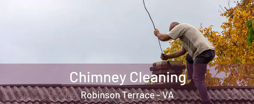 Chimney Cleaning Robinson Terrace - VA