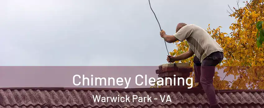 Chimney Cleaning Warwick Park - VA