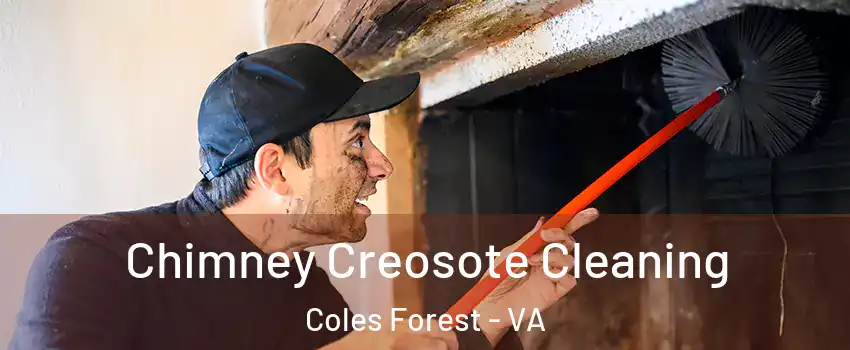 Chimney Creosote Cleaning Coles Forest - VA