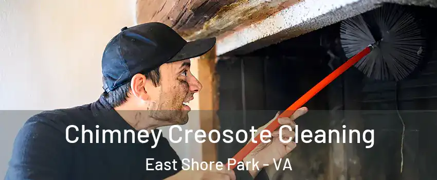Chimney Creosote Cleaning East Shore Park - VA
