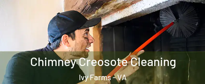 Chimney Creosote Cleaning Ivy Farms - VA